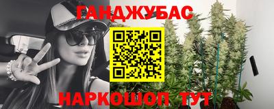 гидра Кандалакша